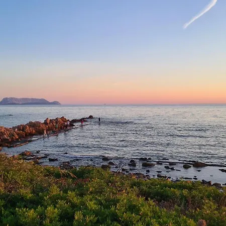 Casa Conchiglia - Mit Dachterrasse Und Panoramablick Auf Berge Und * Tanaunella
