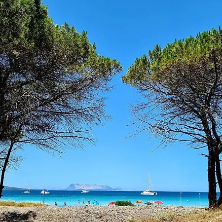 Vakantiehuis Casa Conchiglia - Mit Dachterrasse Und Panoramablick Auf Berge Und Tanaunella