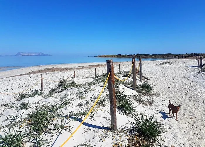 Casa Conchiglia - Mit Dachterrasse Und Panoramablick Auf Berge Und * Танаунелла